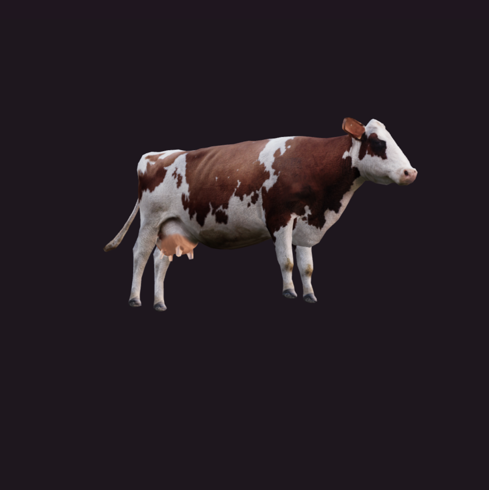 Govs modeļa sīktēls