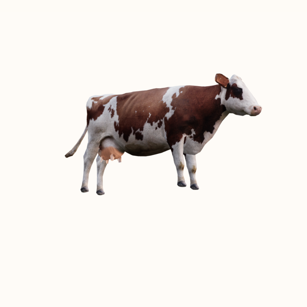 Govs modeļa sīktēls